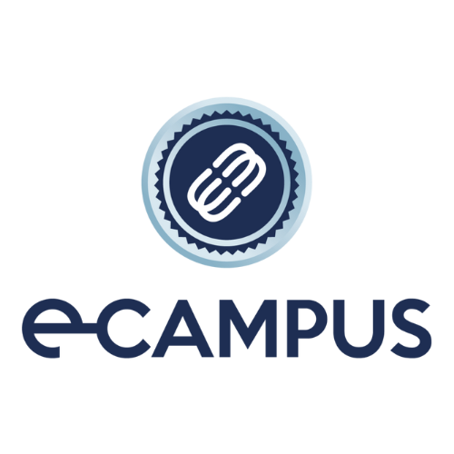 Universidad-E-Campus