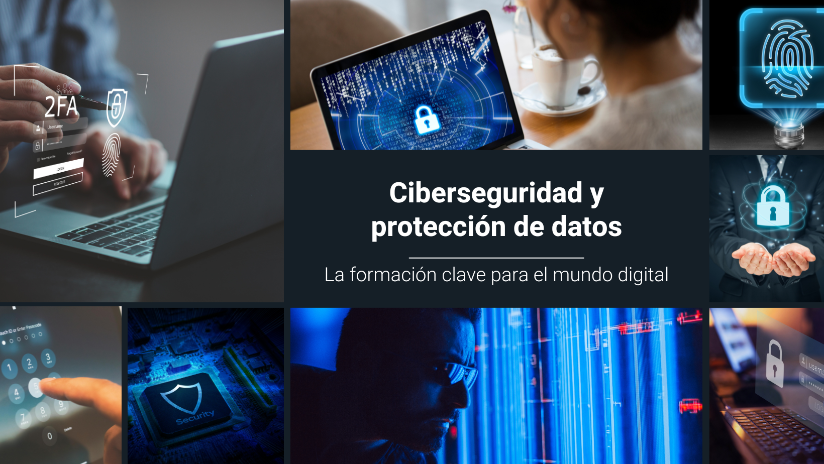 ciberseguridad